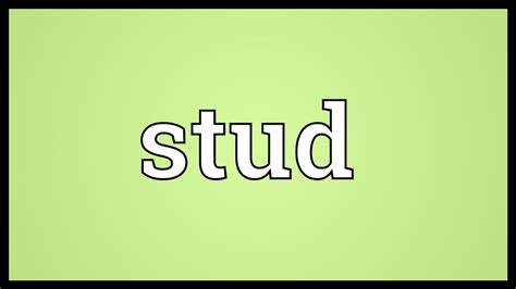 define stud|studs meaning slang.